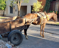Nieuwsbrief-maart2024-Mariano_Monica_html_a30d4439 Nieuwsbrief-maart2024-Mariano_Monica_html_a30d4439